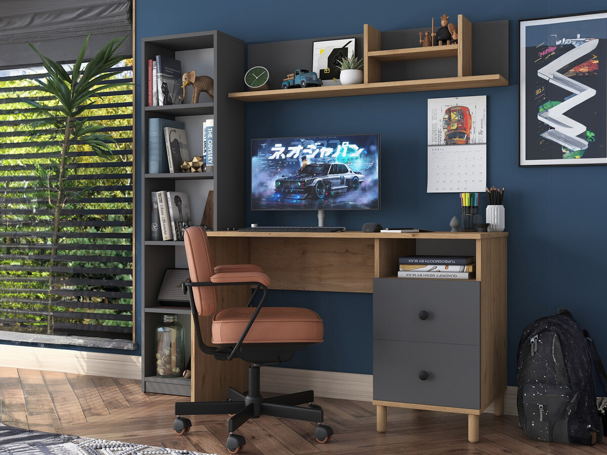 Mööbli kollektsioon Catdelu