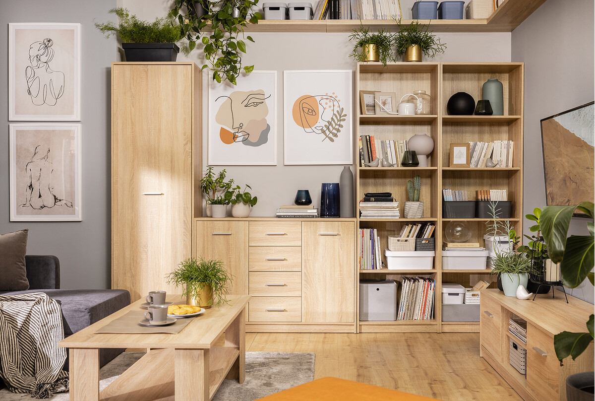 Mööbli kollektsioon Novsore