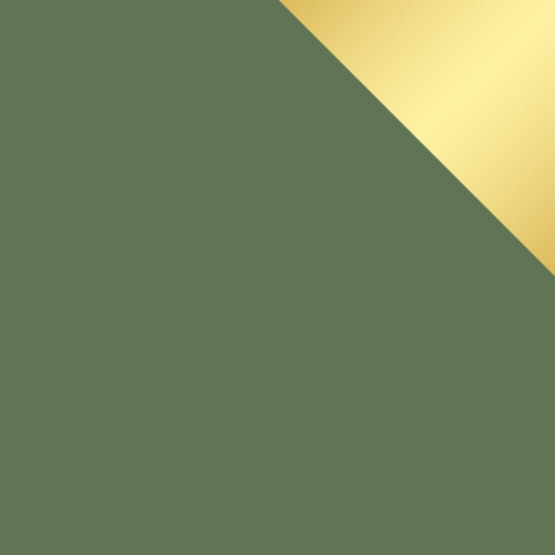 Kummut Dortivu 118 (Roheline + Kuldne)