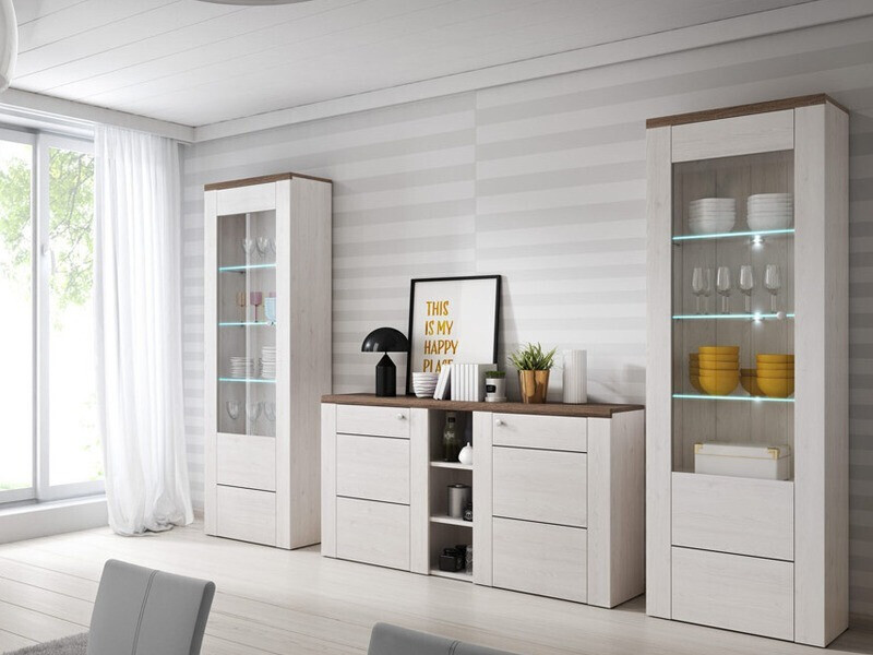 Riiul Salelbo 102 (Sibula lehis + Trühvel tamm)