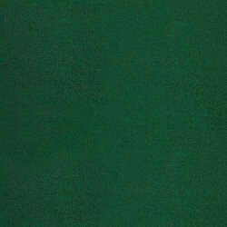 Nurgadiivan Muncie 107 (Manila 35)