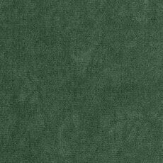 Kontinentaalvoodi Baltimore 159 (Mikrofaza 10)