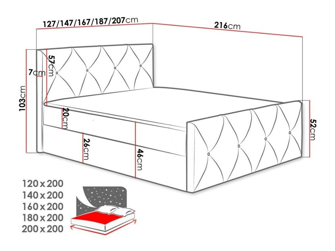 Kontinentaalvoodi Litus I (Mono 242)