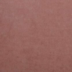 Kontinentaalvoodi Litus (Mono 235)