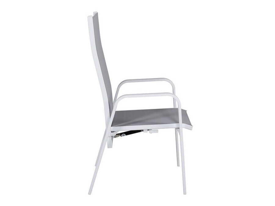 Aiatool Dallas 2776 (Valge + Hall)