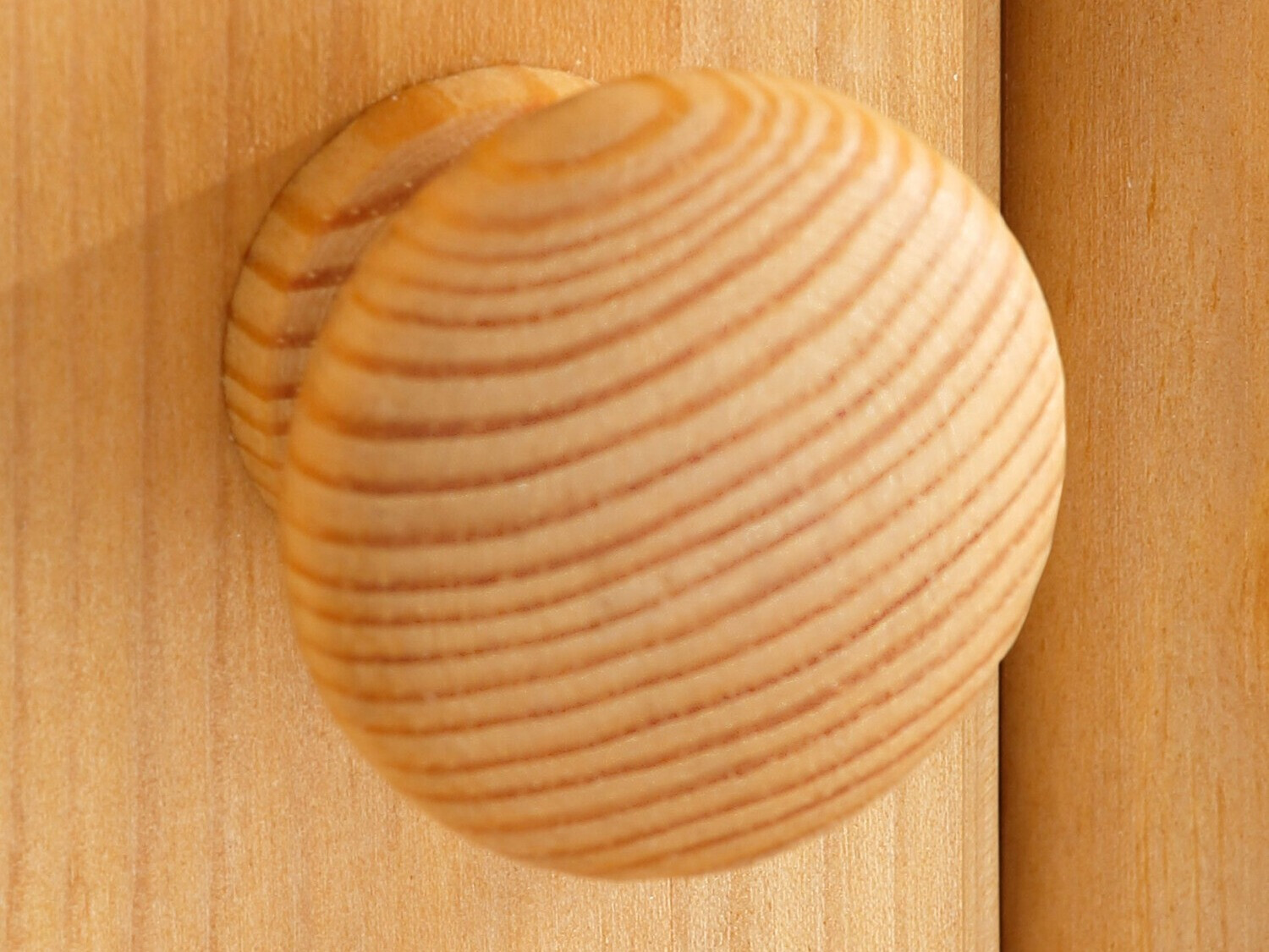 Riiul Denton 239 (Mänd)