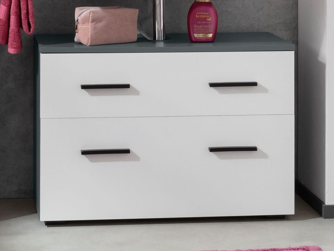 Vannitoa põrandakapp kraanikausile Larlori 101 (Antratsiit + Valge)