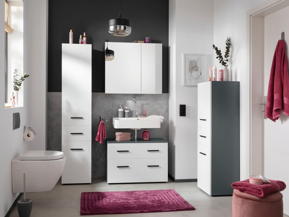 Vannitoa põrandakapp kraanikausile Larlori 101 (Antratsiit + Valge)