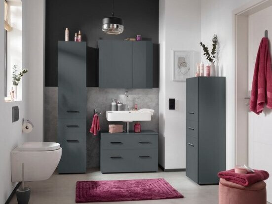 Vannitoa põrandakapp Larlori 103 (Antratsiit)