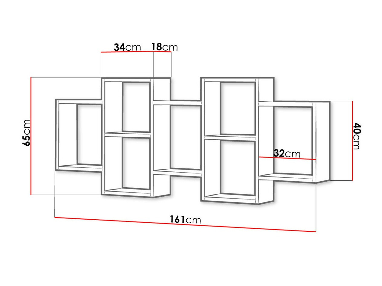 Seinariiul Sarasota 103 (Wotani tamm)