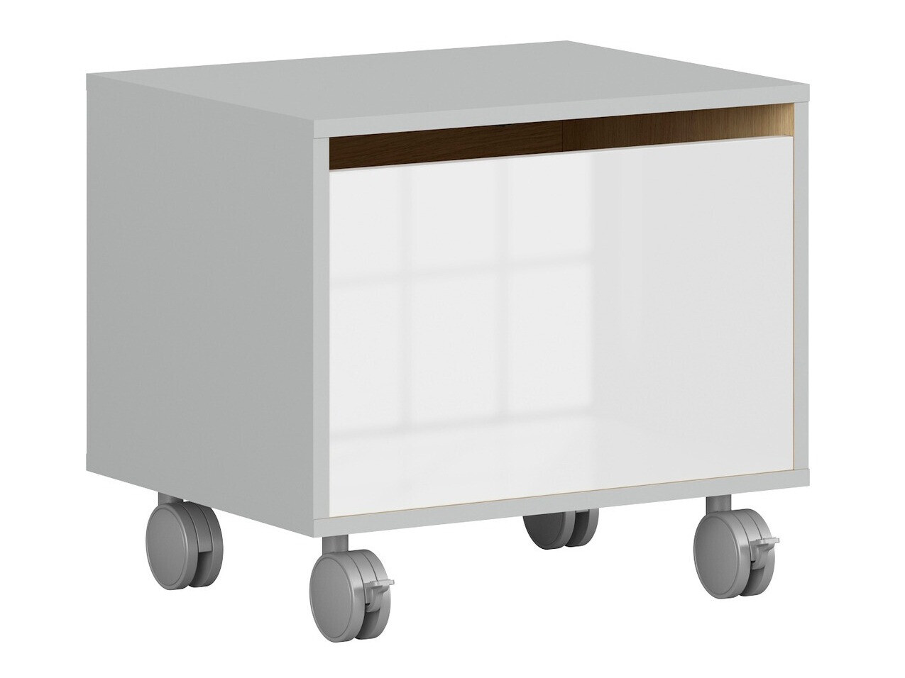 Hoiukast Nuevaru 103