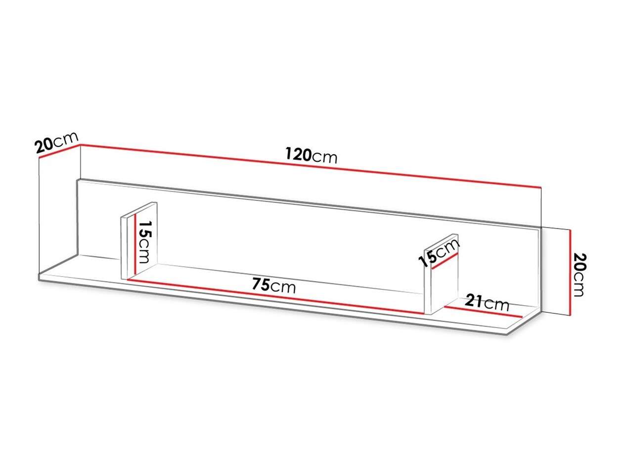 Seinariiul Tolfere 101