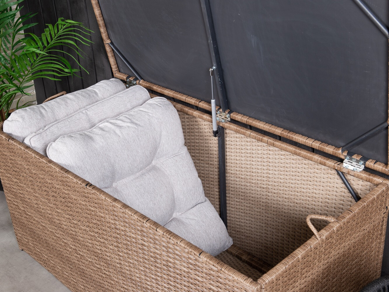 Aia hoiukast Dallas 803