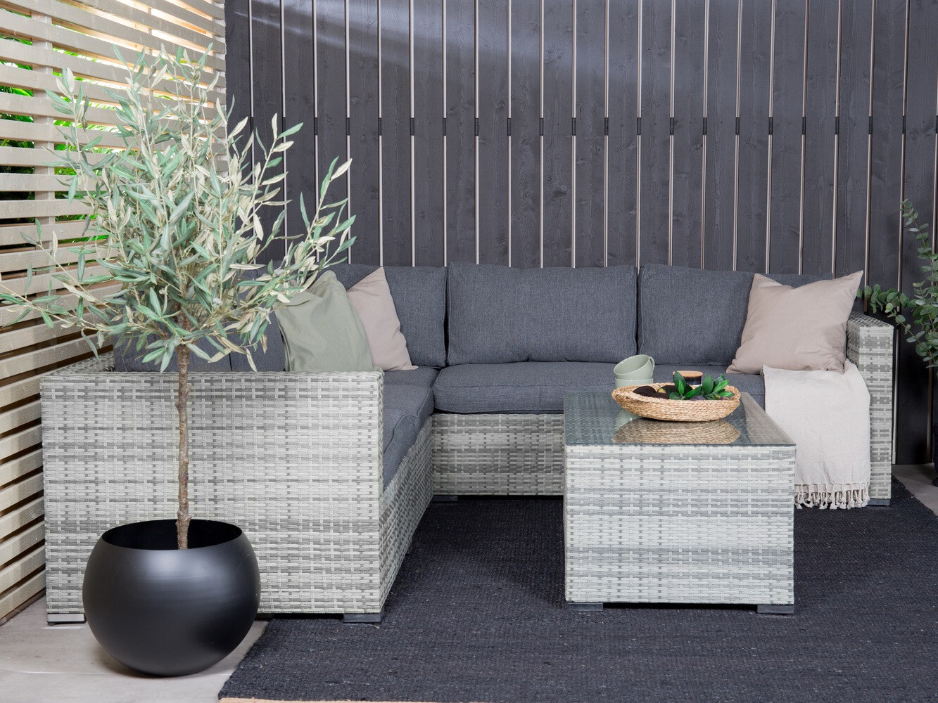 Aiamööblikomplekt Dallas 658