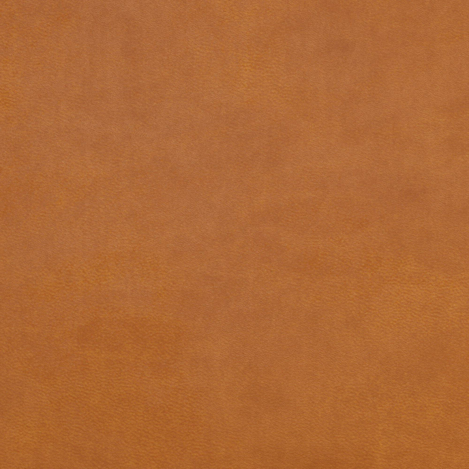 Diivanvoodi Novogratz 169 (Oranž)