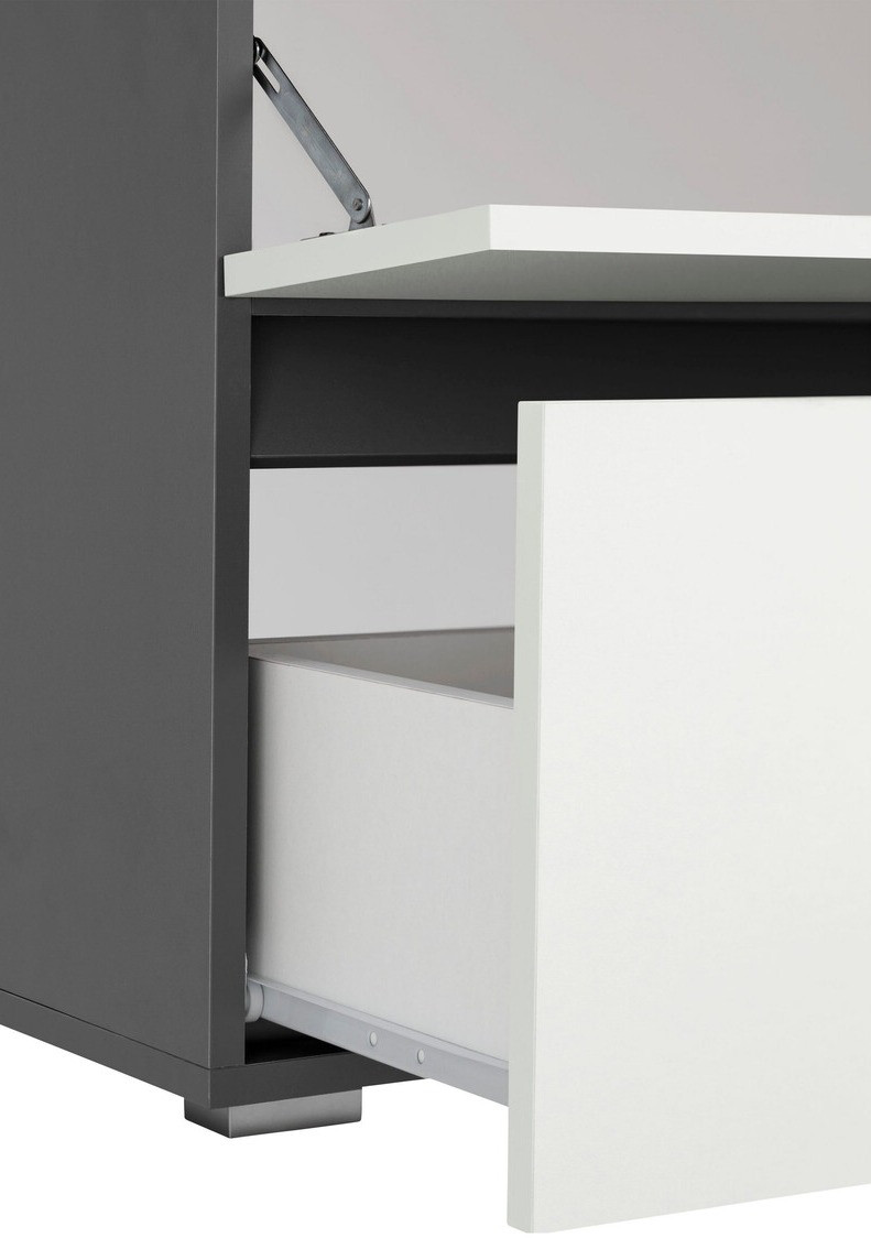 Vannitoa põrandakapp kraanikausile Soncamu 109 (Valge + Antratsiit)