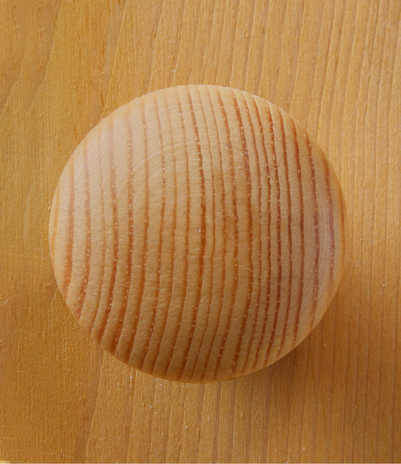 Kapp Cavfelo 105 (Mänd)