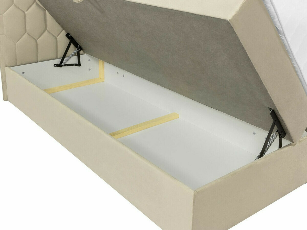 Kontinentaalvoodi Pons III (Fresh 11)