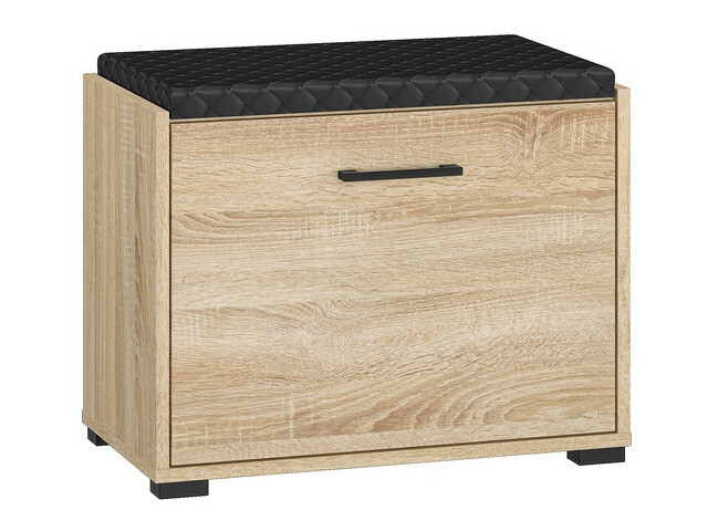 Kingariiul Camtesu 100