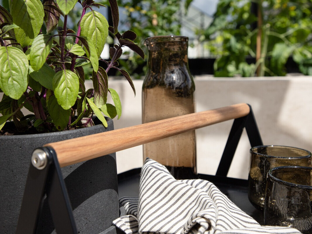 Aialaud Dallas 3467 (Must)