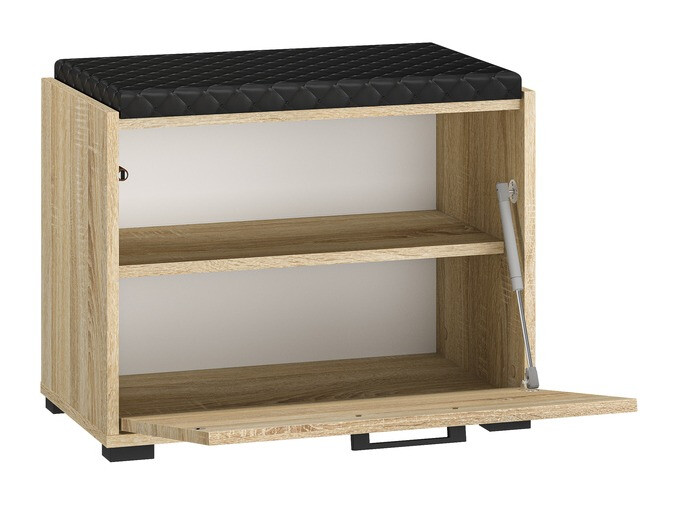 Kingariiul Camtesu 100