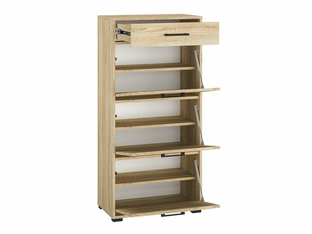 Kingariiul Camtesu 113