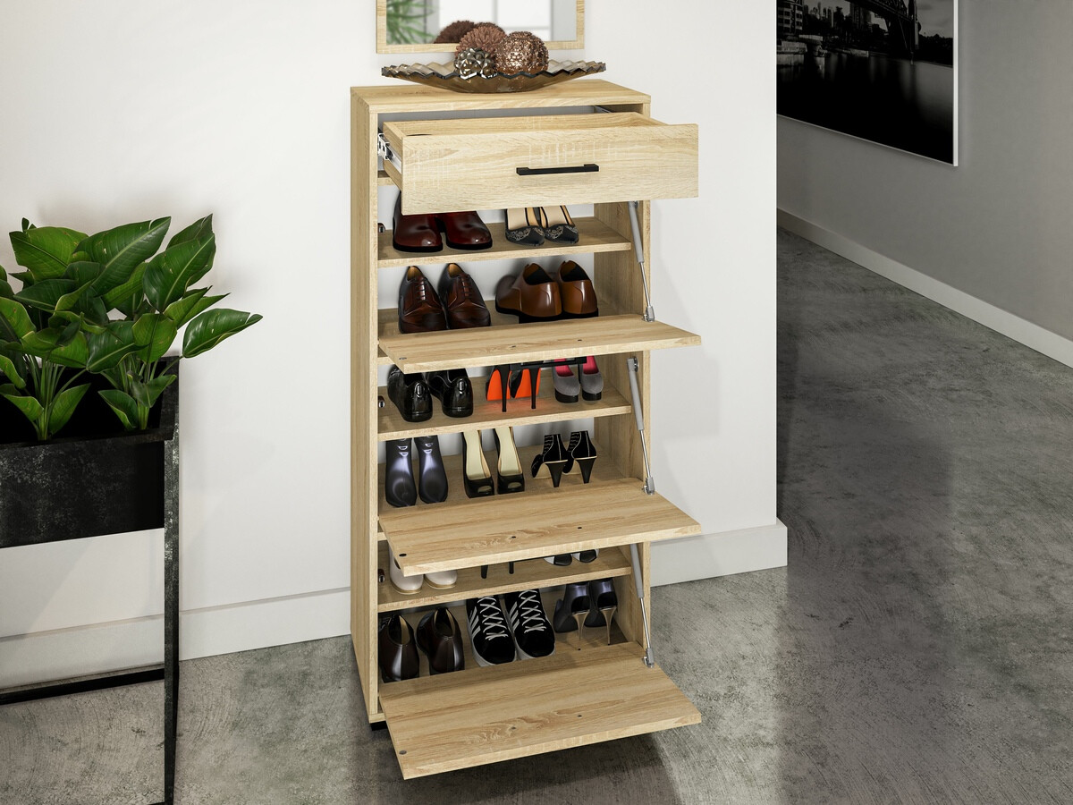 Kingariiul Camtesu 113