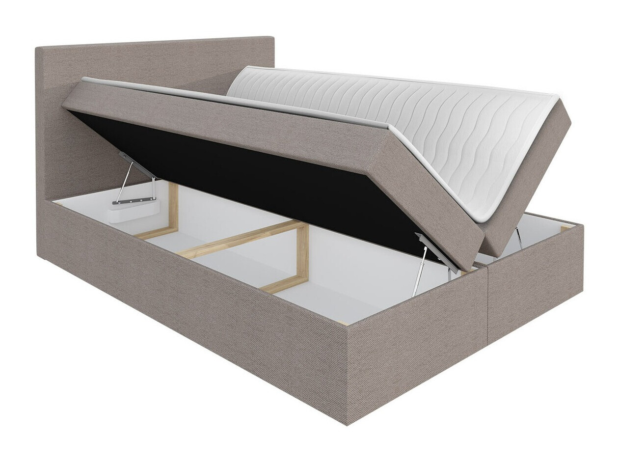 Kontinentaalvoodi Baltimore 163 (Muna 14)