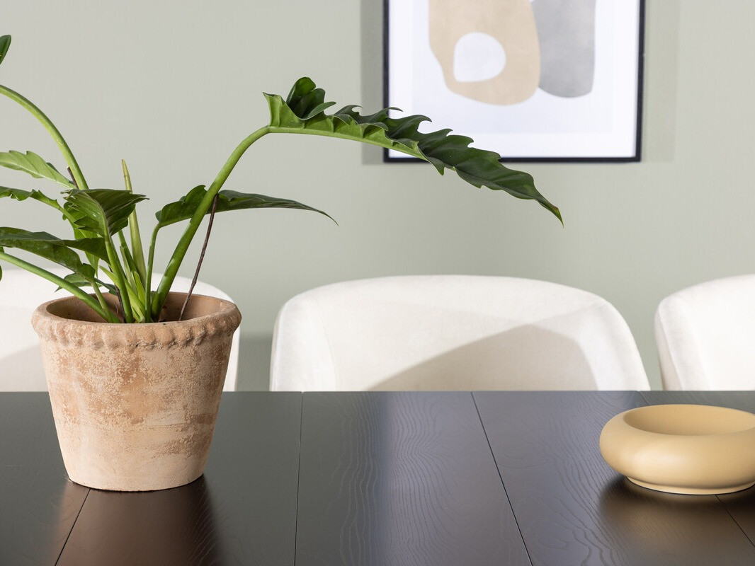 Söögitoakomplekt Dallas 3961