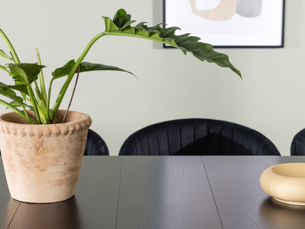 Söögitoakomplekt Dallas 3966