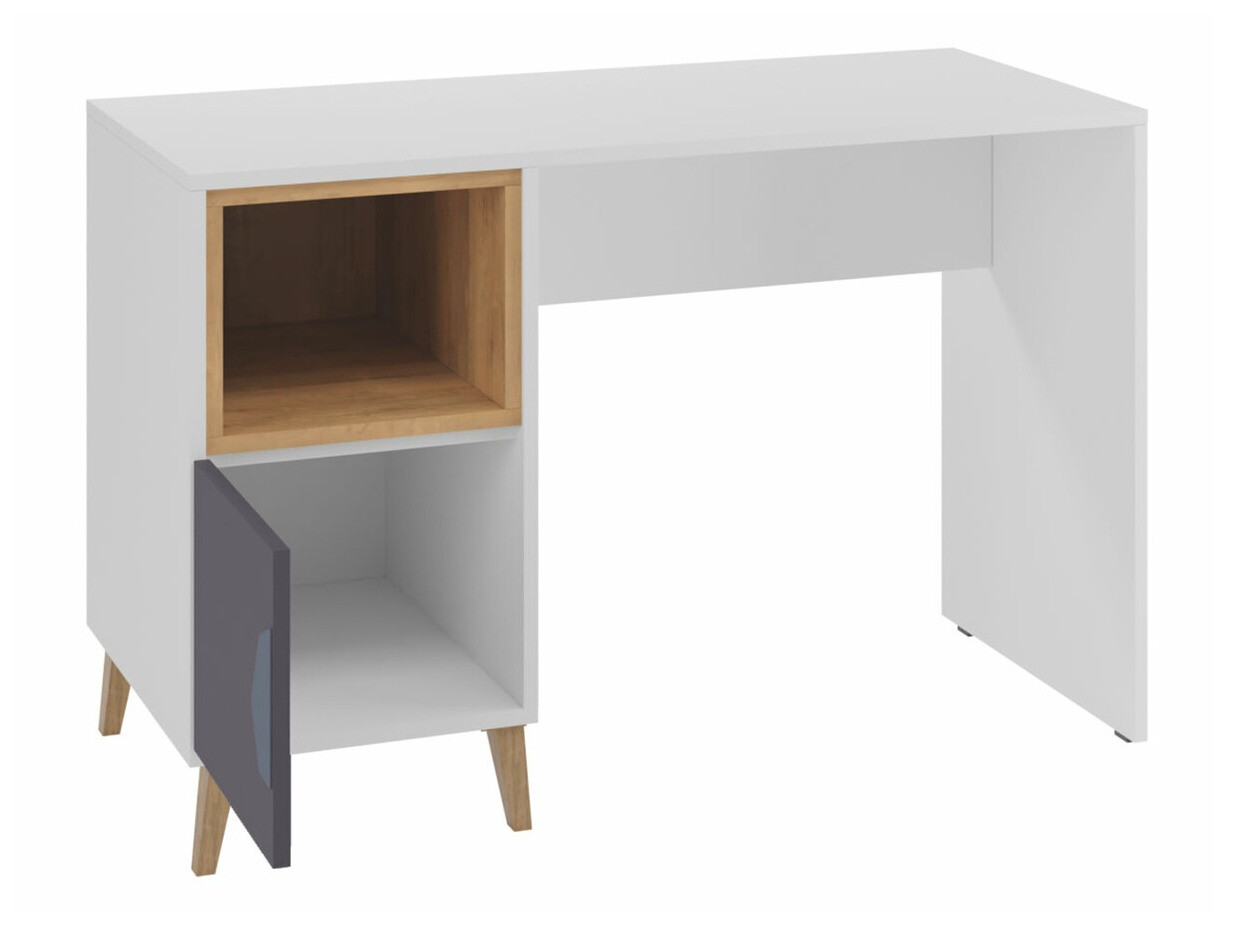 Kirjutuslaud Domvera 113