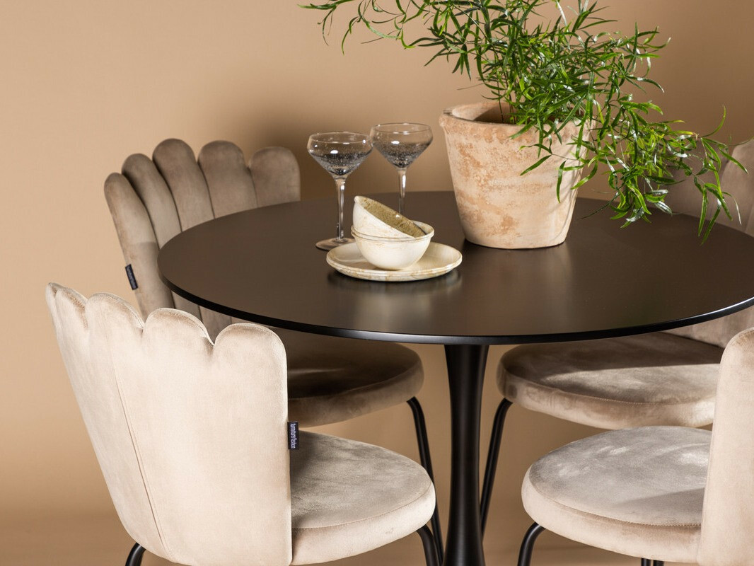 Söögitoakomplekt Dallas 4162