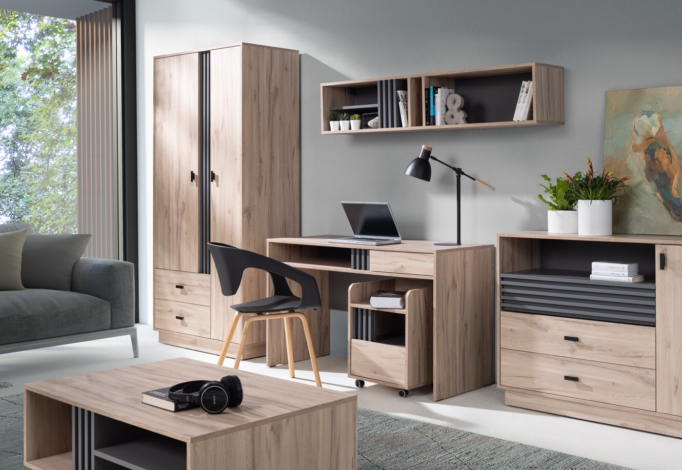 Riidekapp Livlevo 101