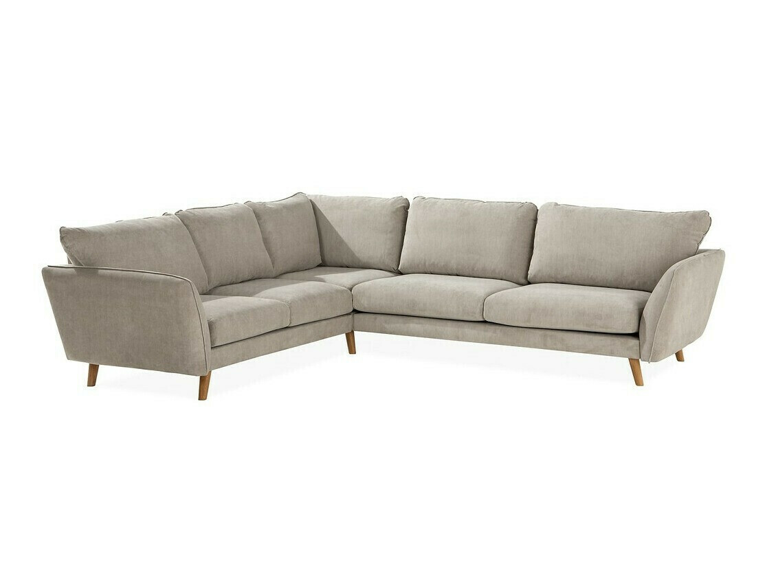 Nurgadiivan Catmori 101 (Orinoco 23)