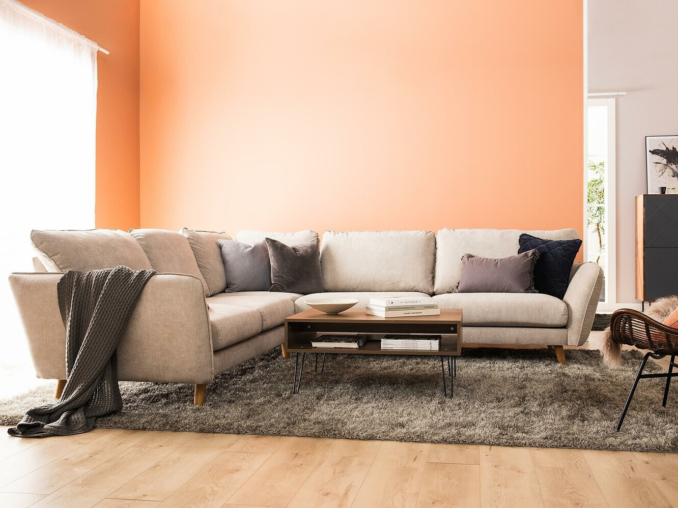 Nurgadiivan Catmori 101 (Orinoco 23)