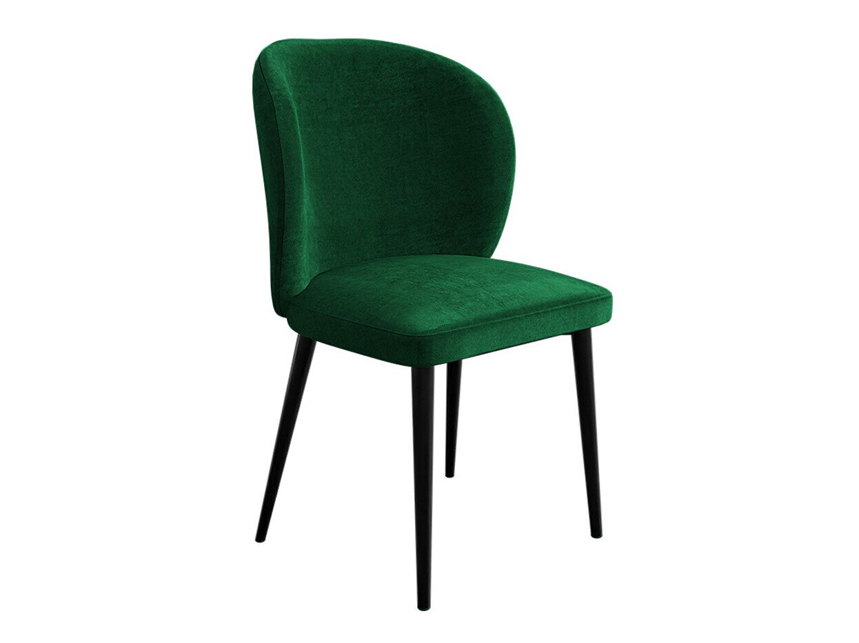 Tool Jackson 104 (Must + Magic Velvet 2225)