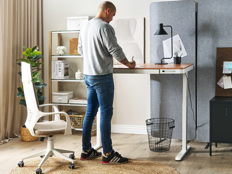 Reguleeritava kõrgusega töölaud Berwyn 224 (Valge + Ere puit)