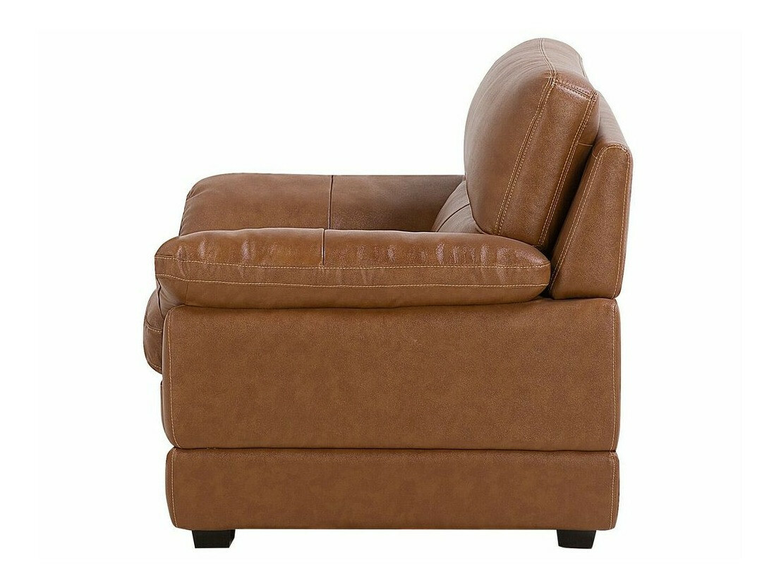 Tugitool Berwyn 1052