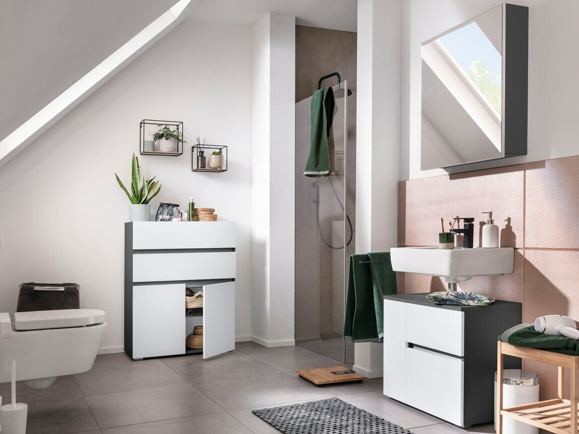 Vannitoa põrandakapp Soncamu 101 (Valge + Antratsiit)