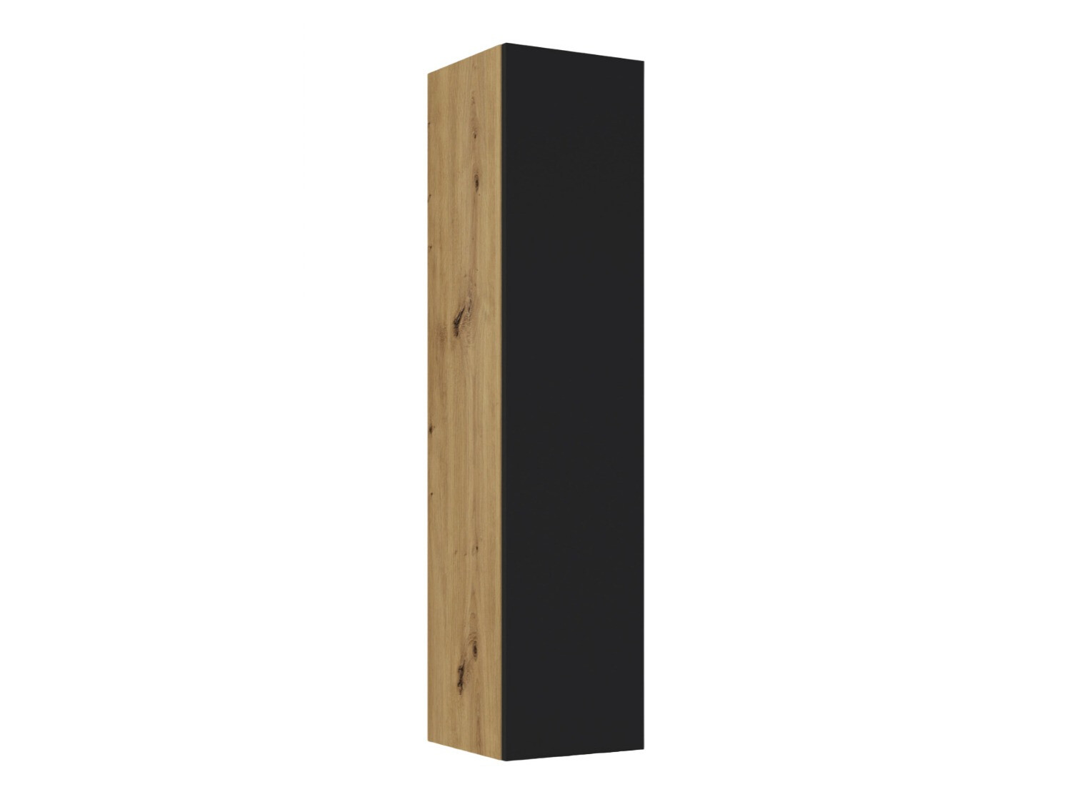 Seinariiul Buffalo 113