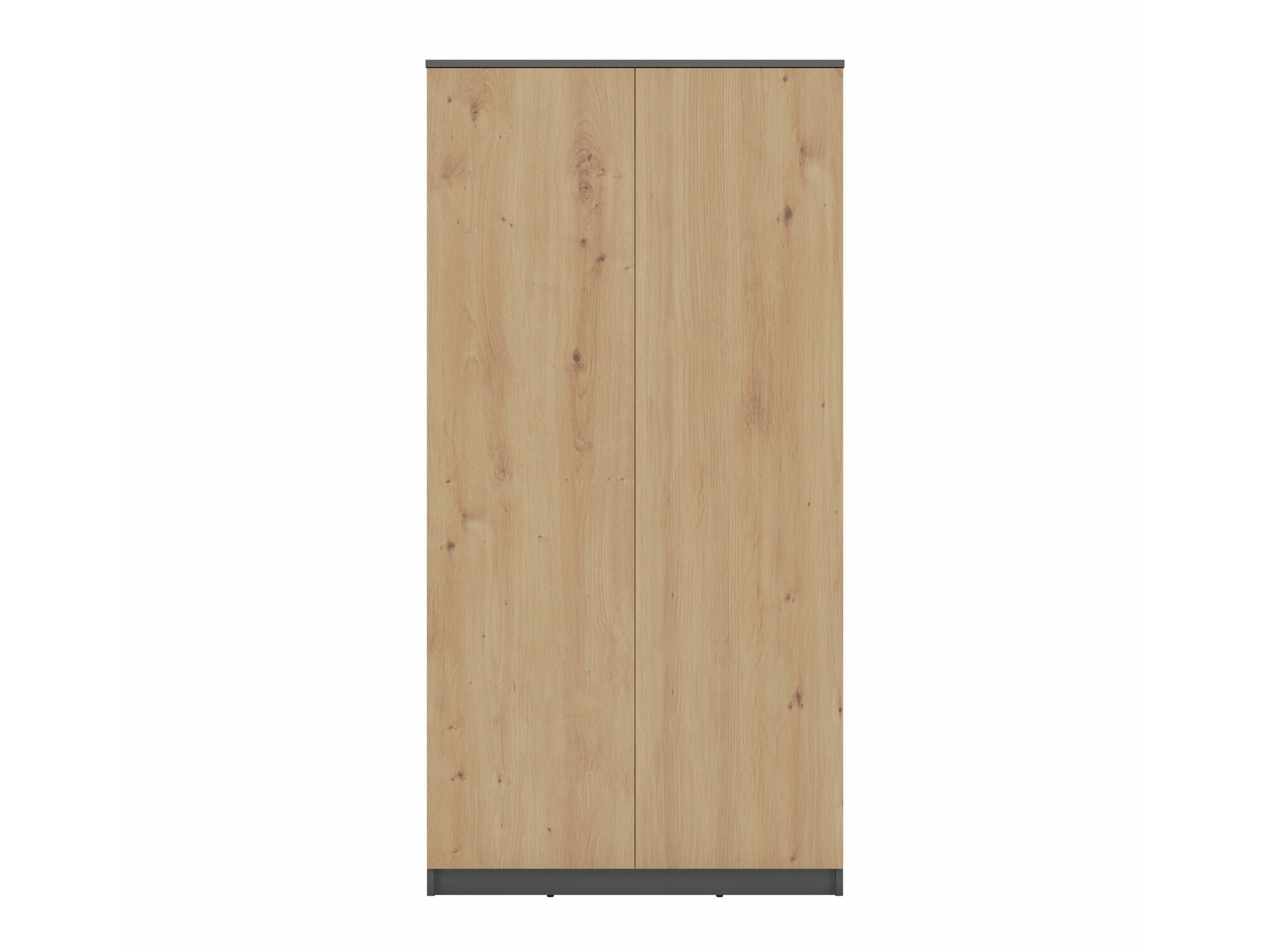 Riidekapp Elbvelu 117 (Antratsiit + Artisan tamm)