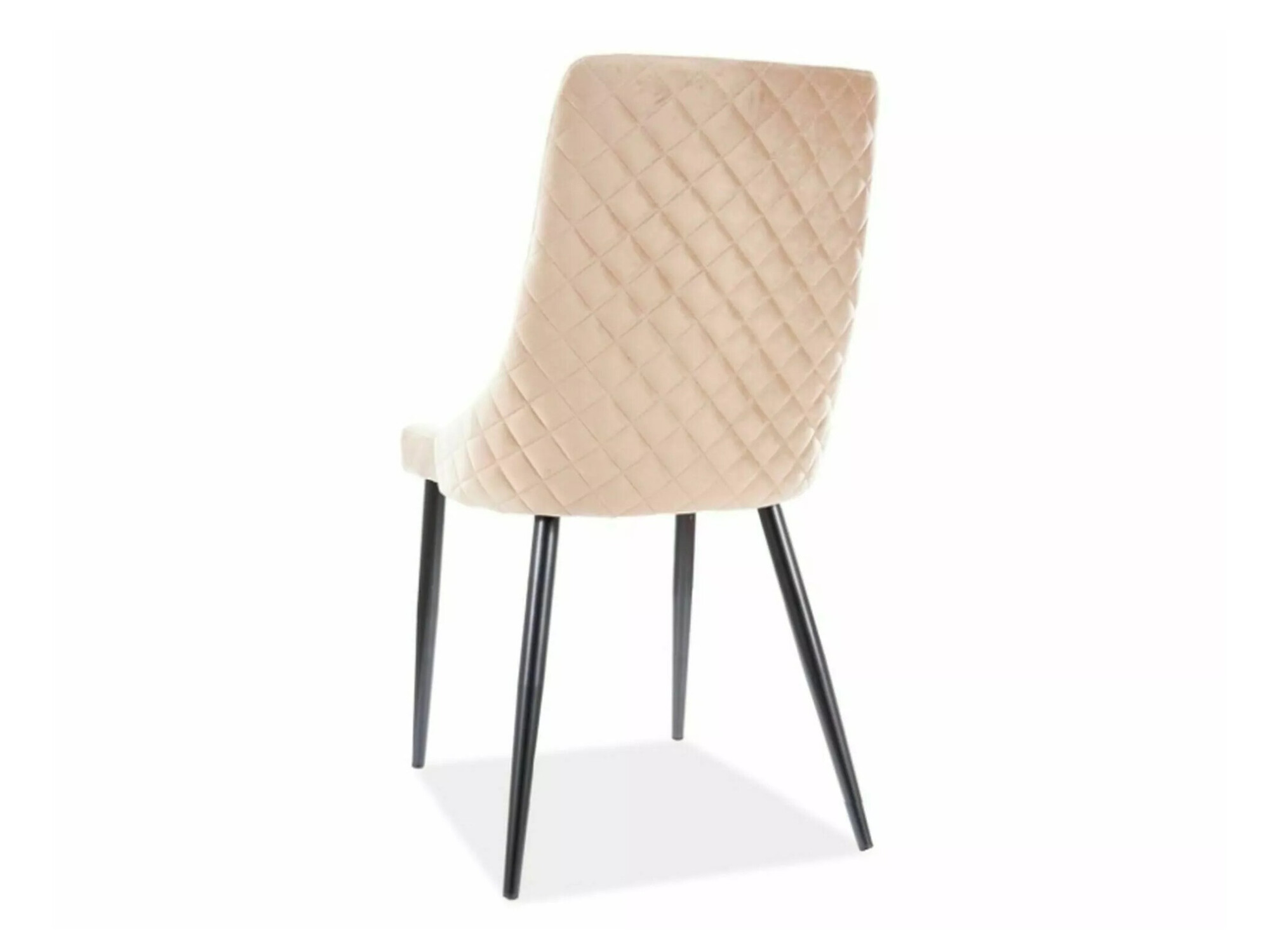 Tool Detroit 347 (Beež)