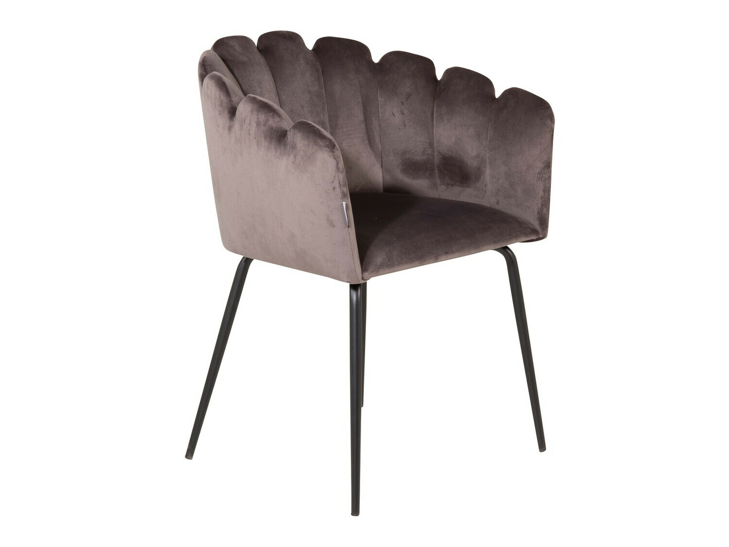 Tool Dallas 134 (Hall + Must)