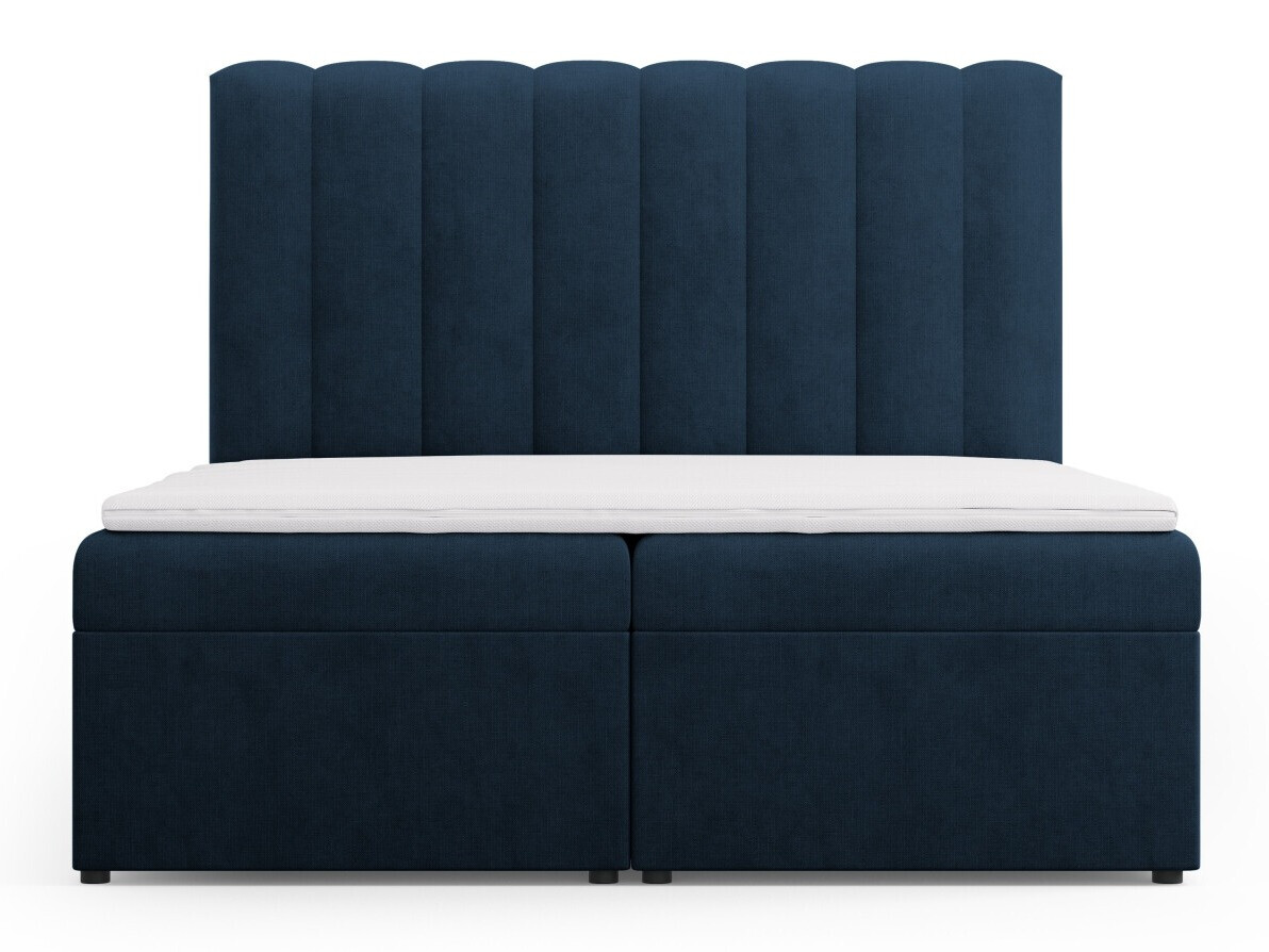 Kontinentaalvoodi Beckley 113 (Moly 79)