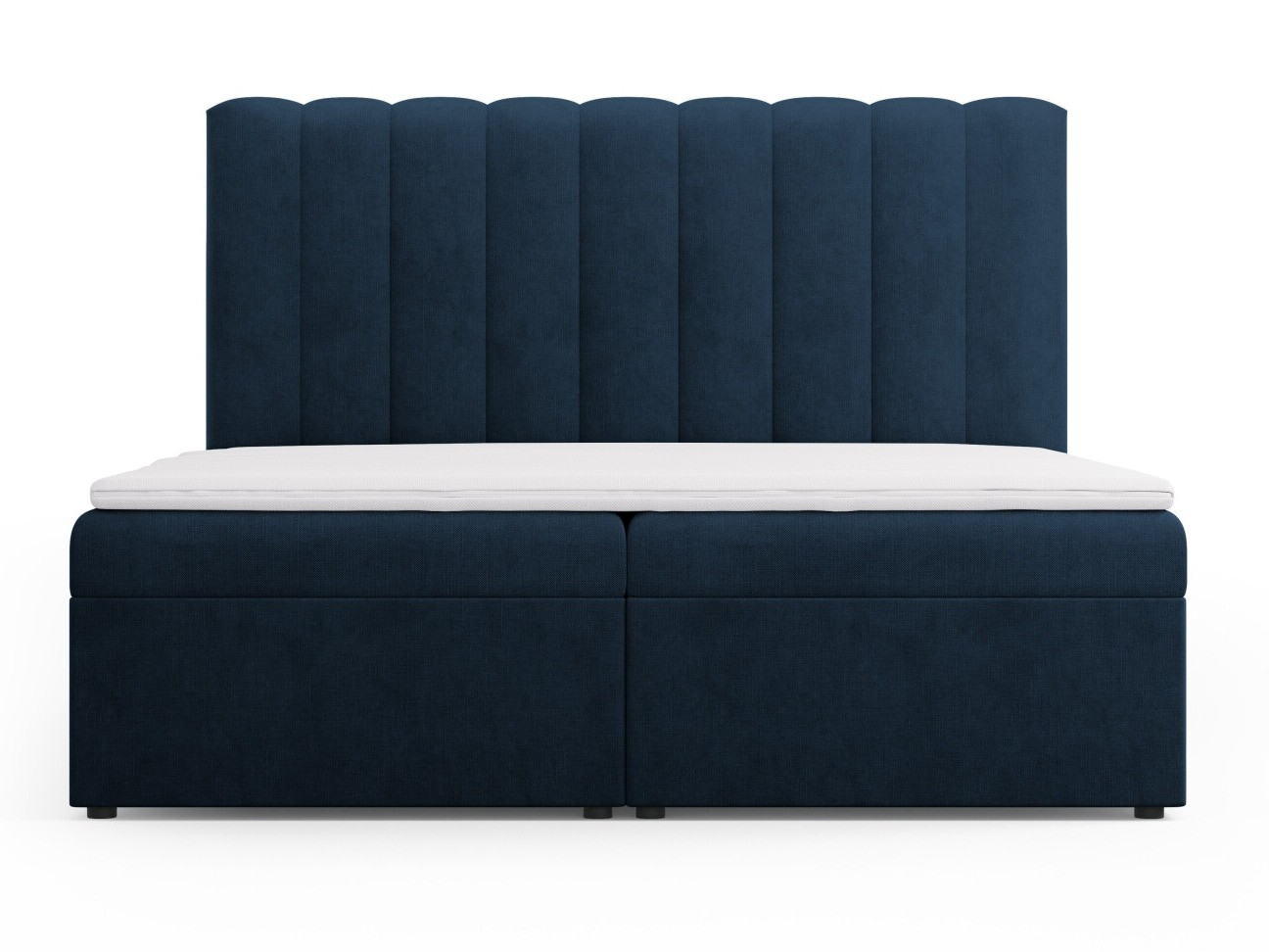 Kontinentaalvoodi Beckley 113 (Moly 79)