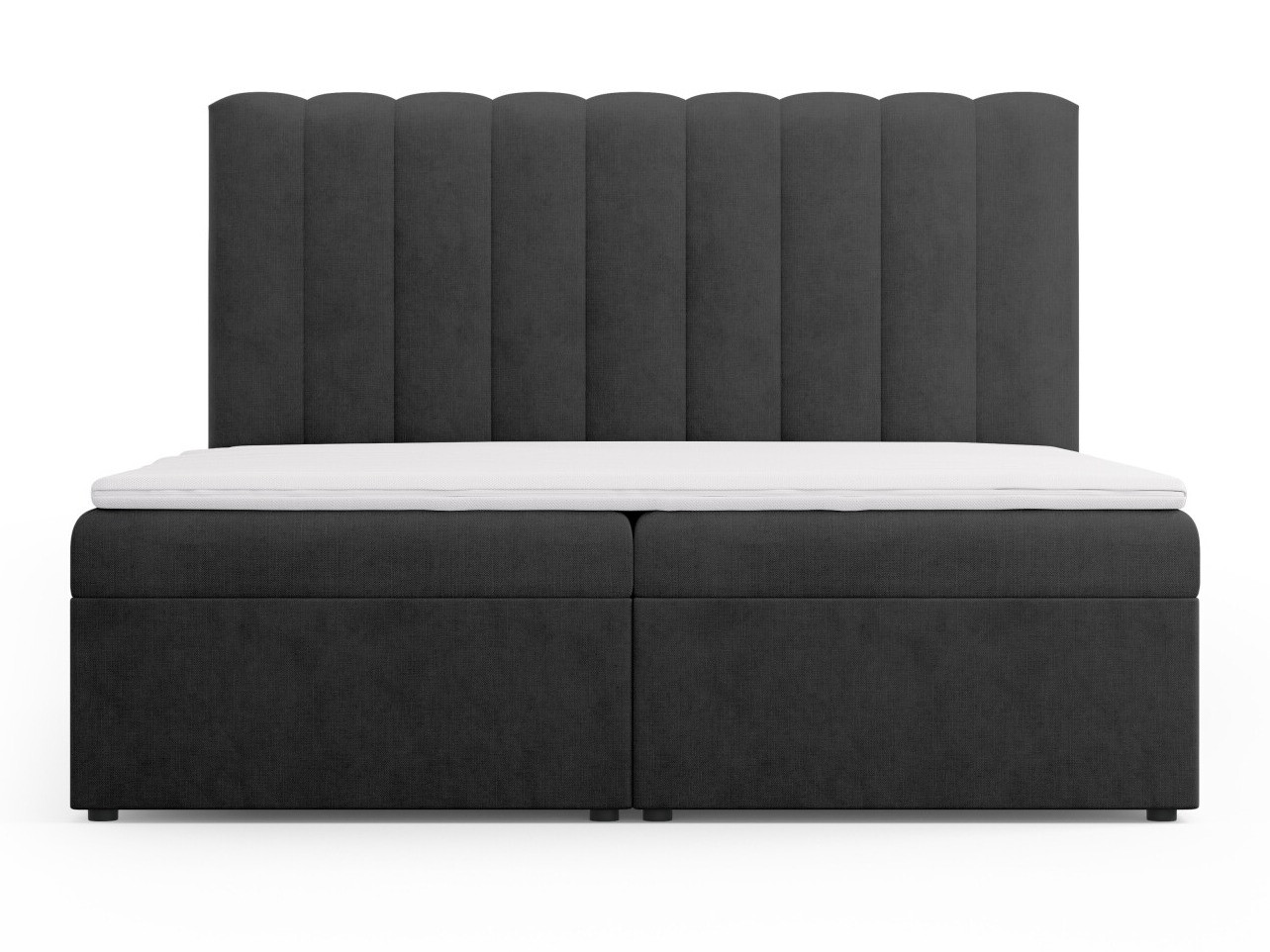 Kontinentaalvoodi Beckley 113 (Moly 97)