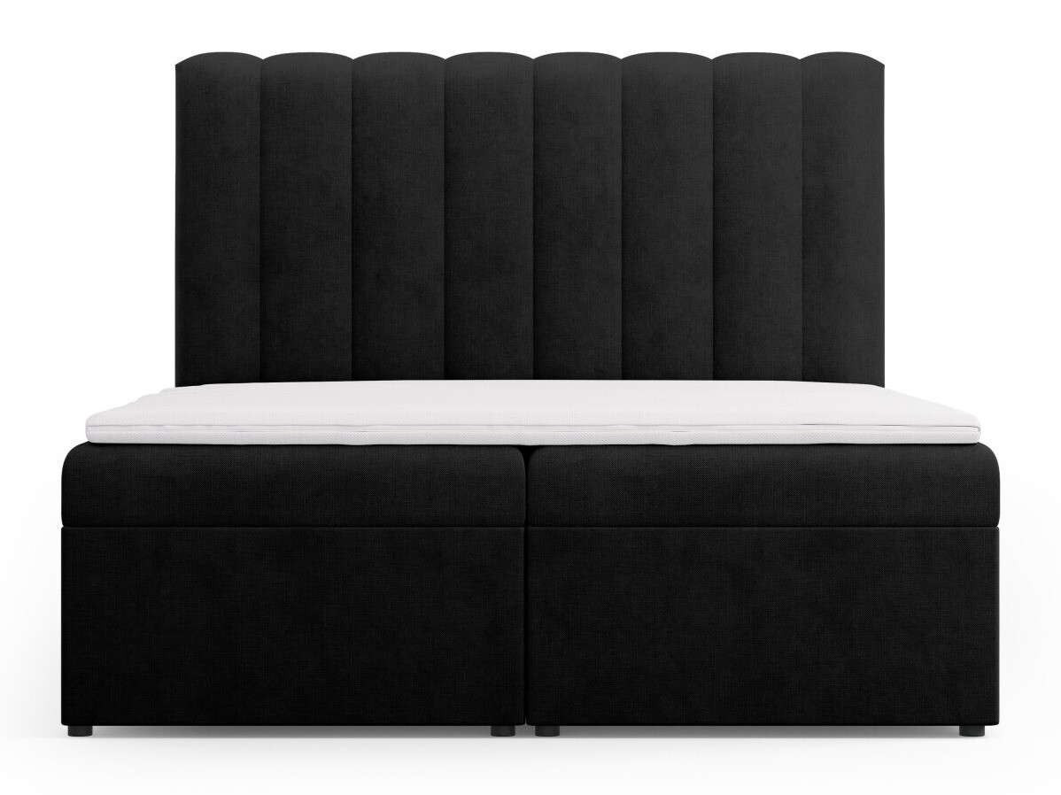 Kontinentaalvoodi Beckley 113 (Moly 99)