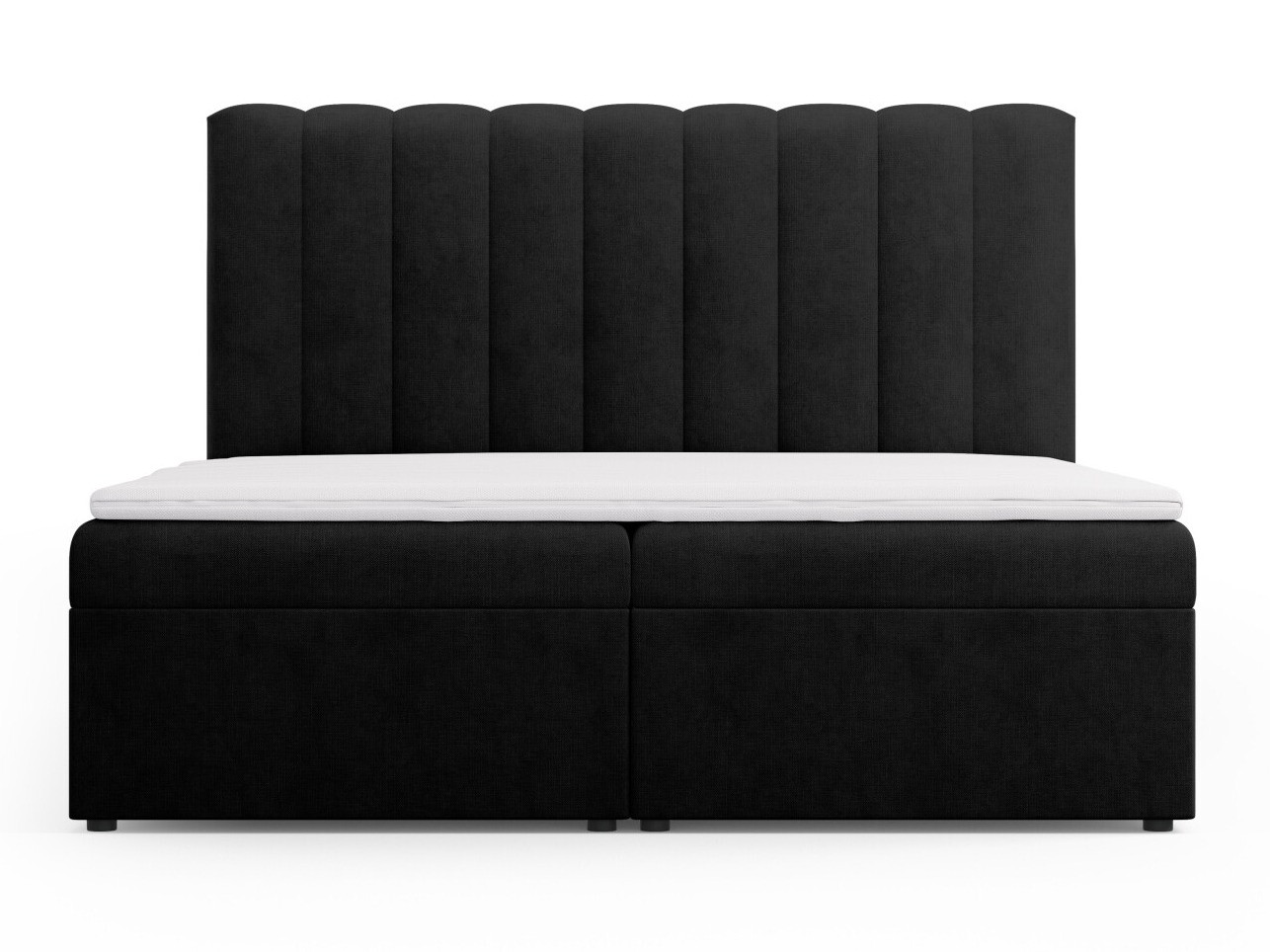 Kontinentaalvoodi Beckley 113 (Moly 99)