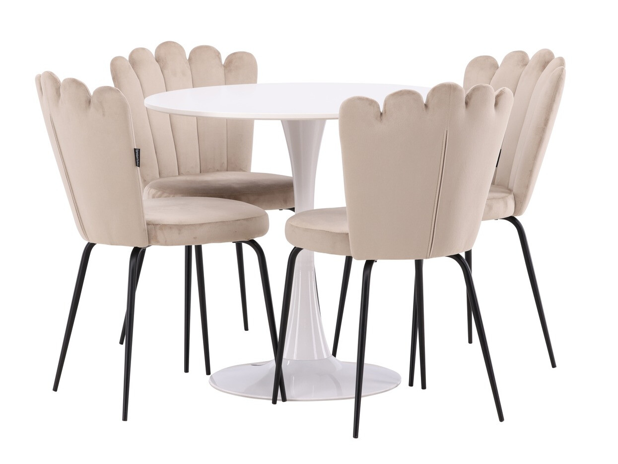 Söögitoakomplekt Dallas 4591