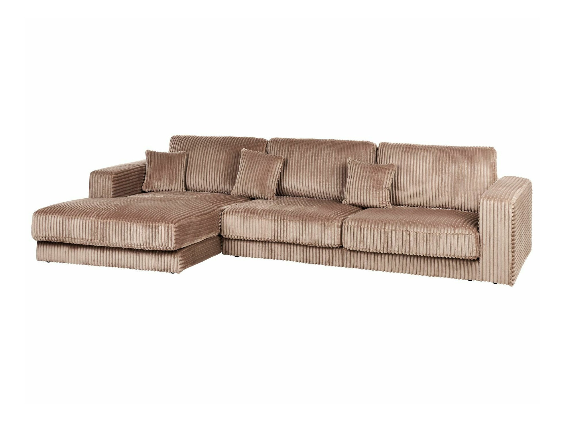 Nurgadiivan Berwyn 2485 (Valgus Pruun)